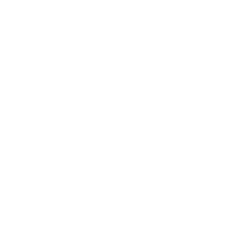 Blå Stjärnan Borås Retina Logo